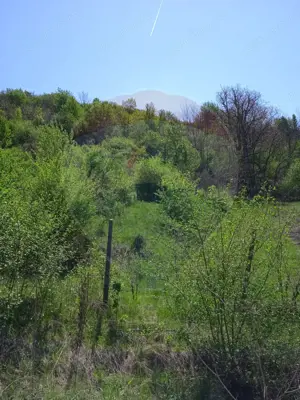 Teren intravilan de vânzare – Hula Baznei, 800 mp - imagine 5