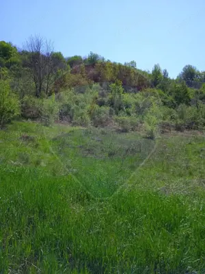 Teren intravilan de vânzare – Hula Baznei, 800 mp - imagine 4