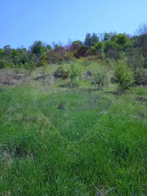 Teren intravilan de vânzare – Hula Baznei, 800 mp - imagine 2