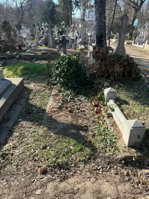 Vand loc de veci , Bellu Militar