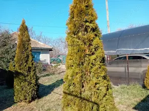 Vând casă. - imagine 2 Vând casă. - imagine 2