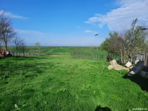 colaborare în diverse afaceri