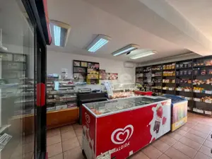 Spatiu comercial de vânzare în cartierul Grigorescu  - imagine 6