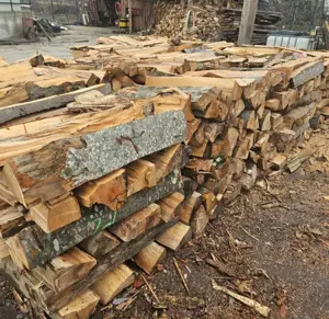 Salut tai lemne de foc cu motofierăstraul si crap