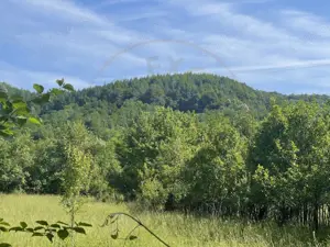 Teren Premium 1559 mp, Brebu Manastirei – Refugiu Montan la 120 km de Bucuresti,