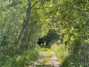 Teren Premium 1559 mp, Brebu Manastirei – Refugiu Montan la 120 km de Bucuresti, - imagine 4