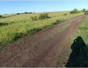 Teren Extravilan Albesti Paleologu, ID: R2586757 - imagine 6