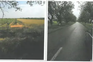 Teren extravilan Pietroasele, ID: R2586802 - imagine 11 Teren extravilan Pietroasele, ID: R2586802 - imagine 11