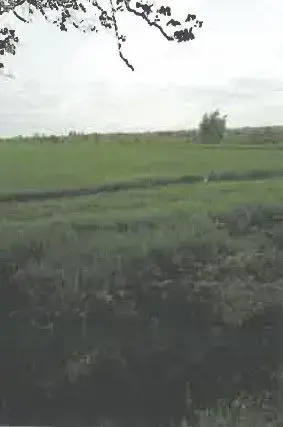 Teren extravilan Pietroasele, ID: R2586802 - imagine 7 Teren extravilan Pietroasele, ID: R2586802 - imagine 7