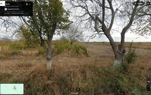 Teren extravilan Pietroasele, ID: R2586802