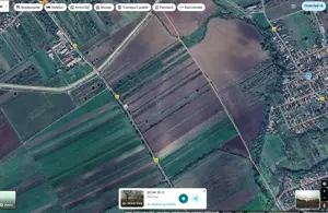 Teren extravilan Pietroasele, ID: R2586802 - imagine 5 Teren extravilan Pietroasele, ID: R2586802 - imagine 5