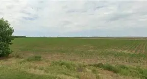 Teren extravilan Pogoanele, ID: R2586845