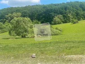 Casa 4 camere 2 bai balcon si gradina in Rasinari - imagine 3