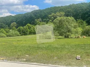 Casa 4 camere 2 bai balcon si gradina in Rasinari - imagine 2