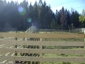 Vând 1000mp teren intravilan situat în comuna Lunca Ilvei (pe Bolovan)