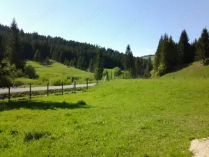 Vând  12.500 mp teren extravilan Lunca Ilvei Bistrita Nasaud  - imagine 5