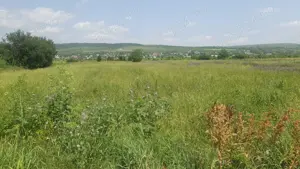 Teren langa  muzeul  Golesti