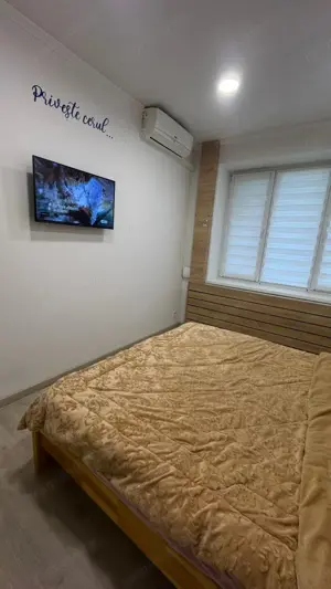 Se propune spre inchiriere garsoniera in zona Gorjului - imagine 5