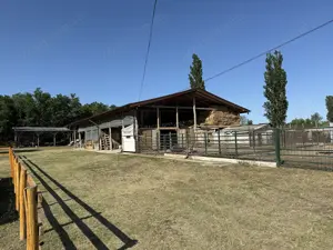 Catun   Ferma autorizata " Tip A " pentru cresterea porcilor - IMOBIHOR  - imagine 3