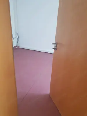 Ofer la inchiriere SAD zona centrala Balcescu-Rusu Sireanu, P+1+M, 200 mp utili,  10 camere + 4 bai