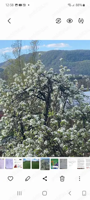 Vând teren în zona Gălean