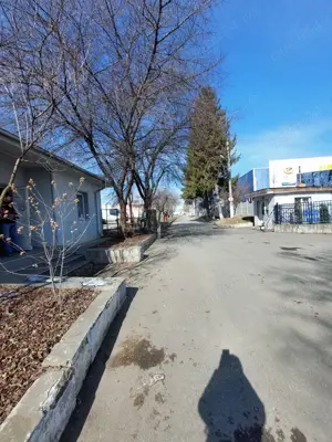 Depozite Refrigerare + Congelare - imagine 2