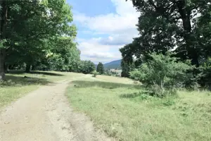 Teren de vanzare 4713 mp investitie | Poiana Brasov - imagine 9