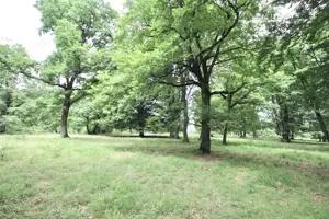 Teren de vanzare 4713 mp investitie | Poiana Brasov - imagine 3