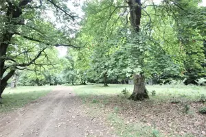 Teren de vanzare 4713 mp investitie | Poiana Brasov - imagine 6