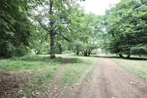 Teren de vanzare 4713 mp investitie | Poiana Brasov - imagine 7