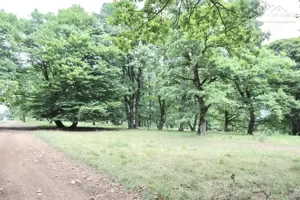 Teren 4713 mp investitie Imobiliara | Poiana Brasov