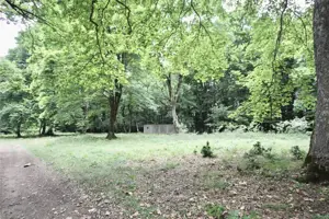 Teren de vanzare 4713 mp investitie | Poiana Brasov - imagine 5