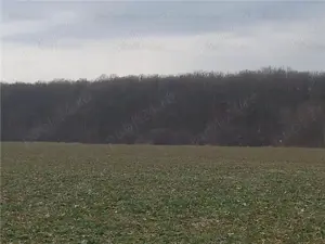 VANZARE TEREN INTRAVILAN  | BUFTEA | loturi pt case de 500 mp ( ultimile disponibile )| din str Faga - imagine 9