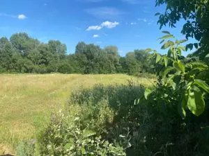 Casă cu grădină și anexe de vânzare, Bâlta, com. Runcu, Gorj - imagine 19