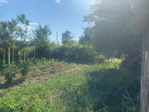 Casă cu grădină și anexe de vânzare, Bâlta, com. Runcu, Gorj - imagine 4