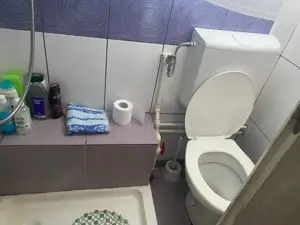 Casă cu grădină și anexe de vânzare, Bâlta, com. Runcu, Gorj - imagine 14