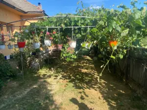 Casă cu grădină și anexe de vânzare, Bâlta, com. Runcu, Gorj - imagine 3