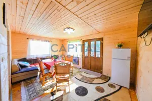 Casa cu teren de 3100 mp de vanzare in comuna Cornesti - imagine 7