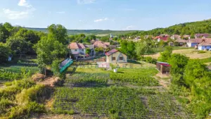 Casa cu teren de 3100 mp de vanzare in comuna Cornesti - imagine 2