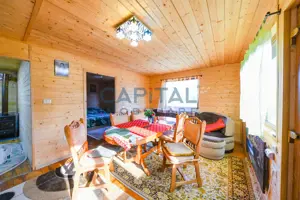 Casa cu teren de 3100 mp de vanzare in comuna Cornesti - imagine 4