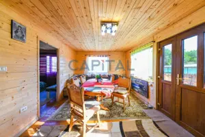 Casa cu teren de 3100 mp de vanzare in comuna Cornesti - imagine 3