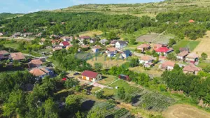 Casa cu teren de 3100 mp de vanzare in comuna Cornesti - imagine 14