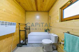 Casa cu teren de 3100 mp de vanzare in comuna Cornesti - imagine 10