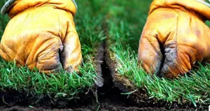 Rulou gazon -preturi accesibile( cu sau fara montaj ) 