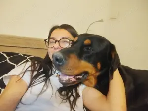 Donez caine talie mare - imagine 3