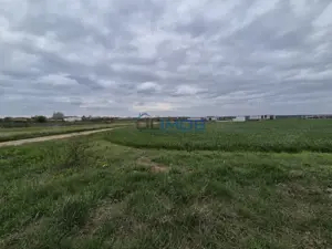 Teren intravilan Izvorani - Delta Snagov