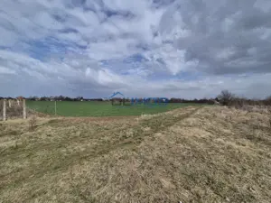  Teren intravilan Izvorani - Delta Snagov  - imagine 2