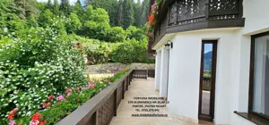 Complex turistic cu spatiu de cazare si agrement,teren si livada 11000 mo, com.Alexandru cel Bun - imagine 14