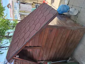 Vand cotet caine talie mare