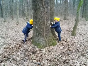 FRumusani- padure ,lac 400 mp LOT de casa  teren intravilan 10 min  metrou- gaze curent,canalizare - imagine 5